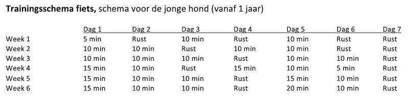 blog_puberteit_fietstraining